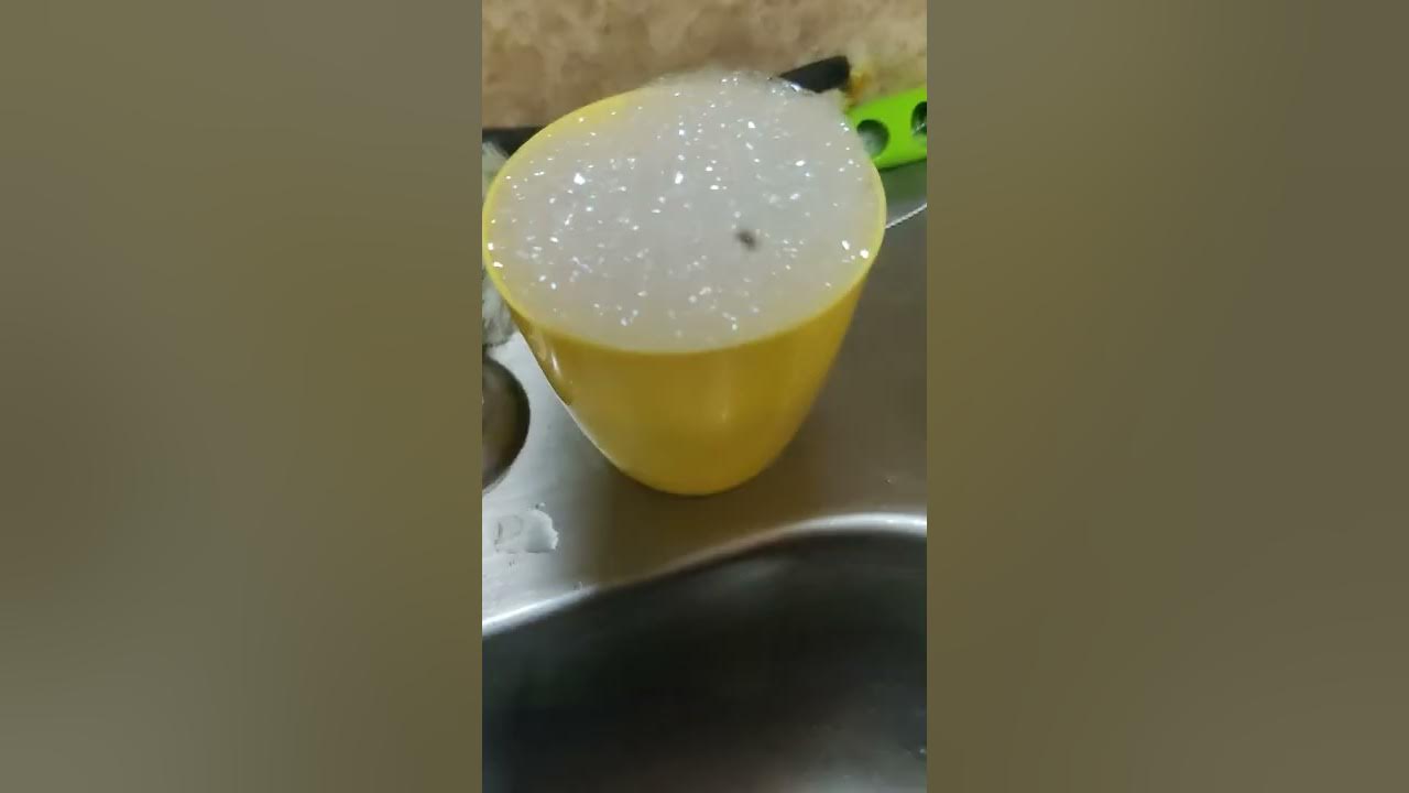 How to catch and eliminate fruit flies or gnats in your home! YouTube