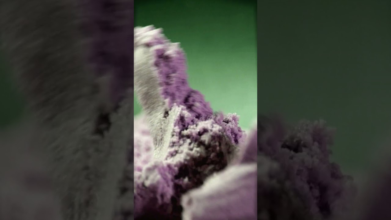 Guarda #ASMR very relaxing kinetic sand flow. 🌊 #oddlysatisfying #imbored #sandart #slowmo su YouTube Guarda #ASMR very relaxing kinetic sand flow. 🌊 #oddlysatisfying #imbored #sandart #slowmo su YouTube