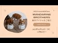 大人気のペットブランドに猫アイテムも登場！「MANDARIN BROTHERS（マンダリンブラザーズ）」の新作商品をご紹介