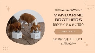 大人気のペットブランドに猫アイテムも登場！「MANDARIN BROTHERS（マンダリンブラザーズ）」の新作商品をご紹介