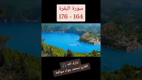 سورة البقرة 164-176: القارئ/محمد جواد سوالمة