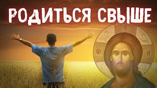 НАМ НУЖНО РОДИТЬСЯ СВЫШЕ. МИТРОПОЛИТ ТВЕРСКОЙ И КАШИНСКИЙ АМВРОСИЙ