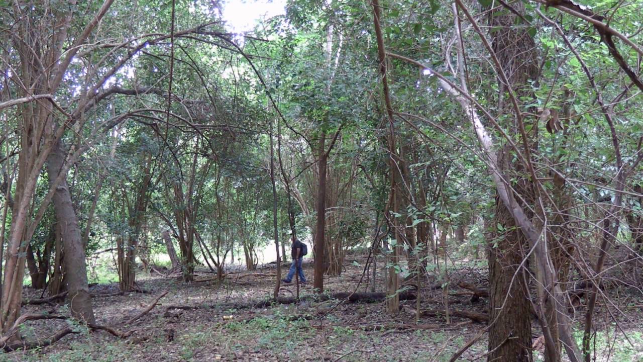 Bigfooting The Fishing Game