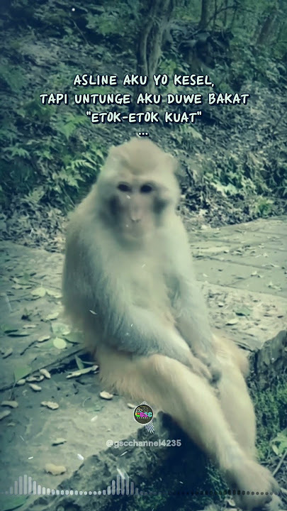 Pura-Pura Kuat || #storywa #storywa30detik #story #quoteskeren