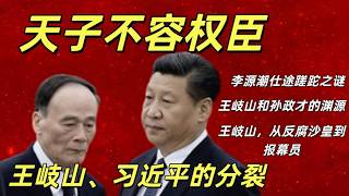 王岐山下，李源潮仕途止步的往事，王其实和习近平的分歧，孙政才和王岐山的渊源，王岐山无法阻止习近平倒车#盐碱地反贼 王岐山就任国家副主席的落魄#习近平#王岐山#胡锦涛#胡春华