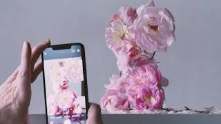Nick Knight: Roses from my Garden screenshot 4
