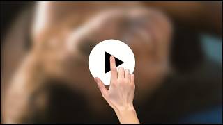 XXXL XXXX ASMR videos of you guys today XXXIV xxxlv XXXIV xxxlv XXXIV show up on the best for you