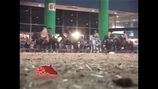 El Cobertizo N 480 - Bloque 2