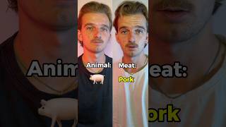 Animals and their meat!