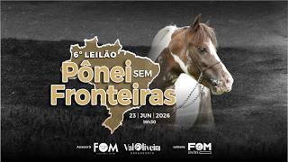 6º LEILÃO PÔNEI SEM FRONTEIRAS