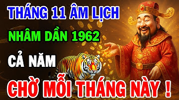 Tử Vi Tháng 11 Âm Lịch 2025 Tuổi Nhâm Dần 1962 | Thời Vận Mở Lối, Thành Công Viên Mãn