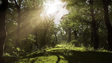 Big Forest Pack - Short Cinematic Trailer - Unreal Engine 4.26 (4K)