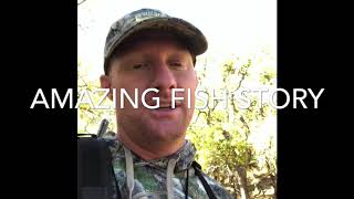 2018 Utah Muzzleloader Deer Hunting #utah #deerhunting #Muzzleloader #generalseasondeer #DIY