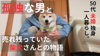 【50代 独身】孤独な男と売れ残っていた柴犬さんとの物語