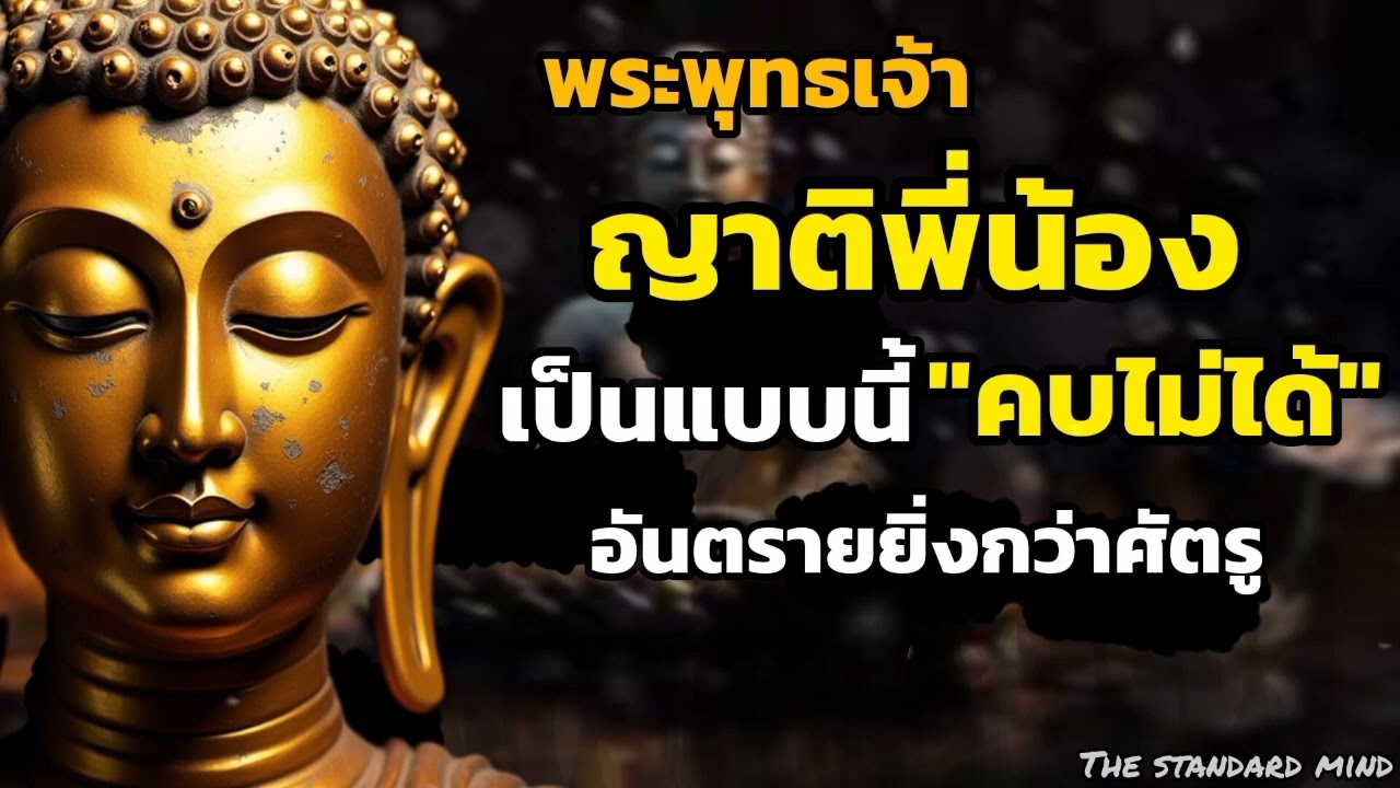 ญาติพี่น้องเป็นแบบนี้ คบไม่ได้อันตรายยิ่งกว่าศัตรูThe standard mind EP: 4