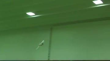 TechOne LEADER Micro EPP 3D - Maiden Flight