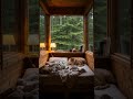 A cat chilling in a cozy bed while raining #chill #cozy #cat
