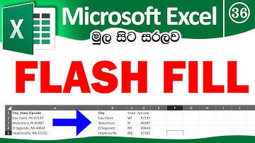 Flash Fill - Microsoft Excel for Beginners in Sinhala - Part 36