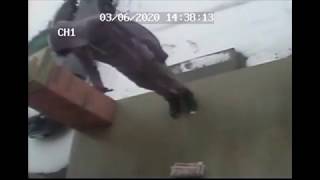 Police seek help identifying assault suspect