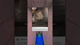 This Dry Spot Is Proof My Dog Had A Great Time In The Rain..