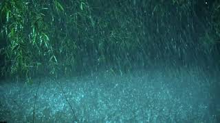 Beat Tinnitus with Heavy Rain on Lake, Calm Thunder in Deep Forest - Real Rain Sounds for Sleeping