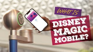 Magic Mobile Disney | How To Set Up Disney Magic Mobile | MagicMobile Pass