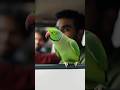 Pollution dosto se ho raha hai!#talkingparot#parrotvoice#shorts#talkingbird#trendingshorts#funnyreel