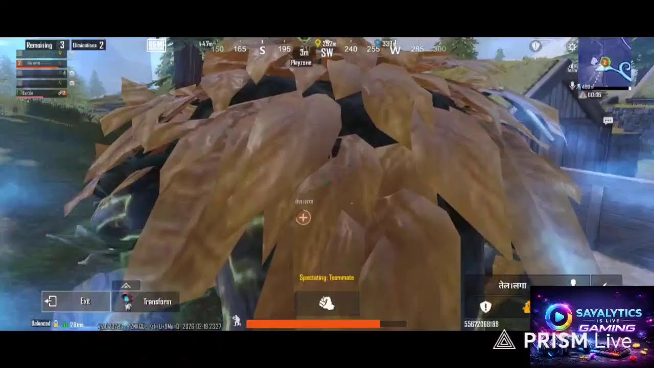 Live streaming of Sayalytics