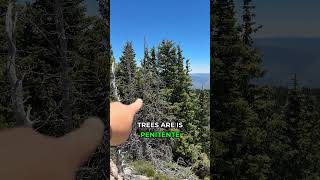 Lake Peak: The Highest Public View of the Santa Fe Watershed #mondayswithmori