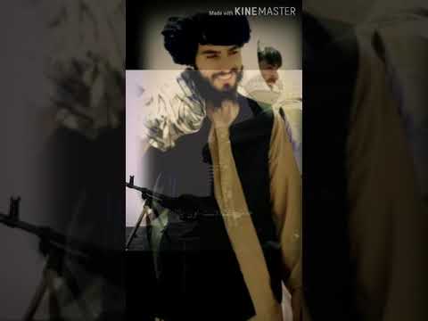قاری قاصد صاحب