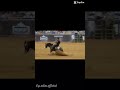 😍😍 #horse #equestrian #edit #reining 