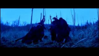 RHCP - Death of a Martian