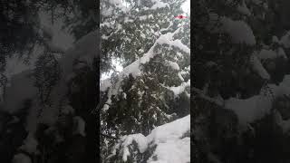 Музыка Сергея Чекалина - Падал снег, Самая красивая и любимая волшебная мелодия зимы!