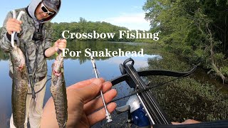 Crossbow Fishing For Snakehead / Crossbow Fishing