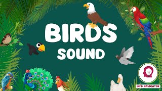 Birds Sound \& Names | Birds Sounds Compilation |Bird Voices for Kids| Birds Chirping| INFO NAVIGATOR