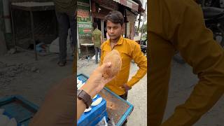 How To Peel Mature Coconut For Snack In India