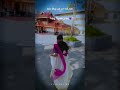bada bhag vala gori tola pahi 💗 #shortsfeed #viralvideo #views #ytshorts #cgshorts #edits #cgreels