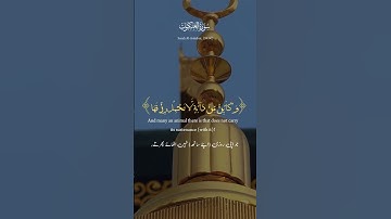 Surah Al Ankabut #quran ayat (59:60) Abdul Rahman سورة العنكبوت عبد الرحمن مسعد - #quran