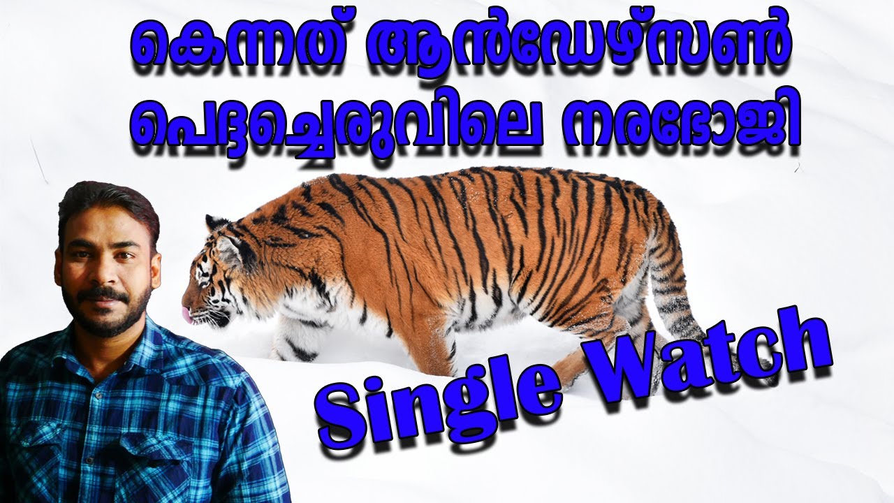 പെദ്ദച്ചെരുവിലെ നരഭോജി|nia tv|noyal idukki|Kenneth anderson|Hunting Story|