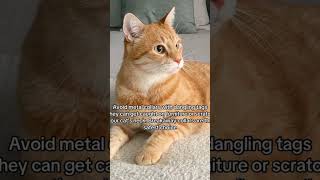 #cat #catlovers #catparent #catparentlife #catmom #catcare #catcaretips #cathealth
