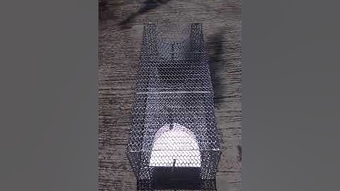 Bẫy chuột sống bẫy chuột hay nhất  bẫy chuột  mới nhất Loại lớn 2 cửa vào