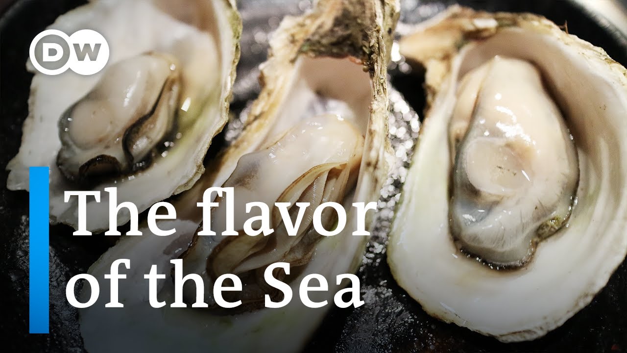 Two Michelin Stars for Seafood | Capturing the Flavor Of the Sea | Seaweed, Snails and Razor Shells