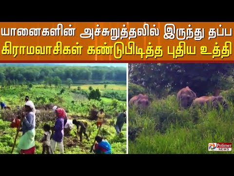 யானைகளின் அச்சுறுத்தலில் இருந்து தப்ப கிராமவாசிகள் கண்டுபிடித்த உத்தி..!