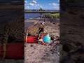 Simulate extreme survival skills vol111 rdr2 #shorts #short