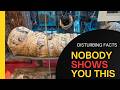 What They Don't Teach You About Mummification