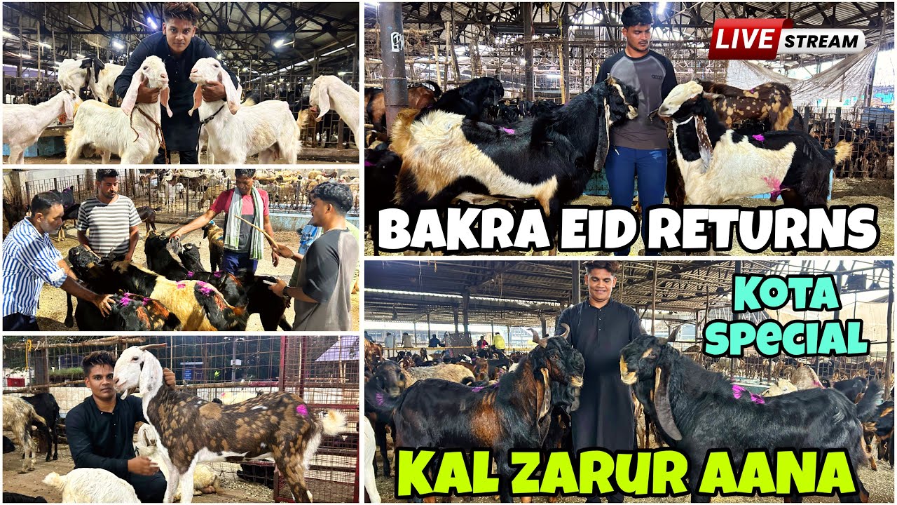 DEONAR BAKRA MANDI FULL DHAMAAL VIDEO 2025 || FRIDAY LIVE MARKET ||