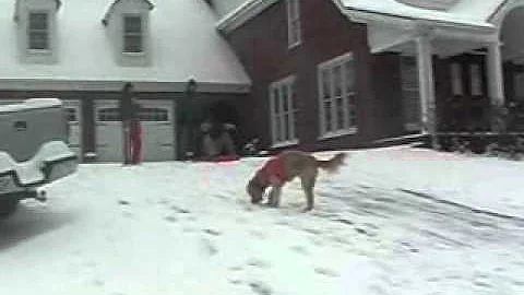 Snowboarding on our driveway in Georgia