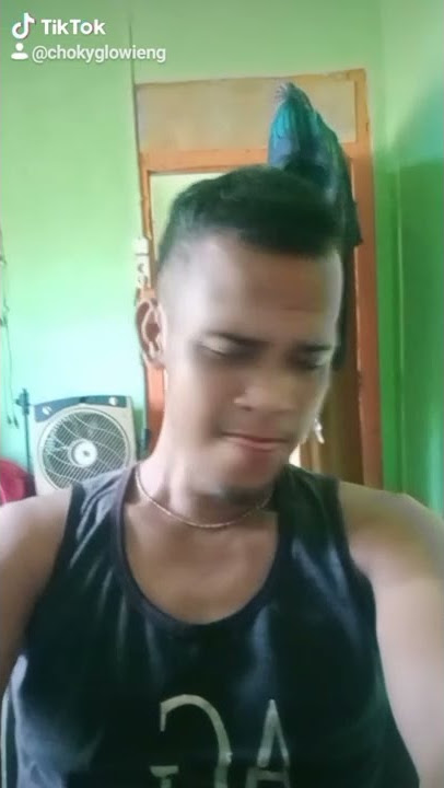 Zaenal Cover