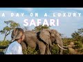 What a day on a luxury safari looks like | Sabi Sabi Earth Lodge, Africa