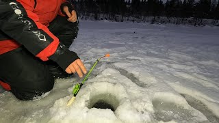 Рыбалка на реке / Тестируем &quot;Русскую механику&quot; / Fishing on the river